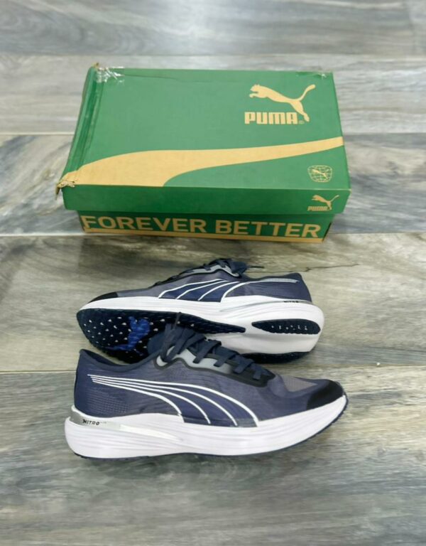 Puma2
