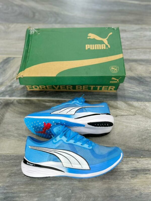 Puma